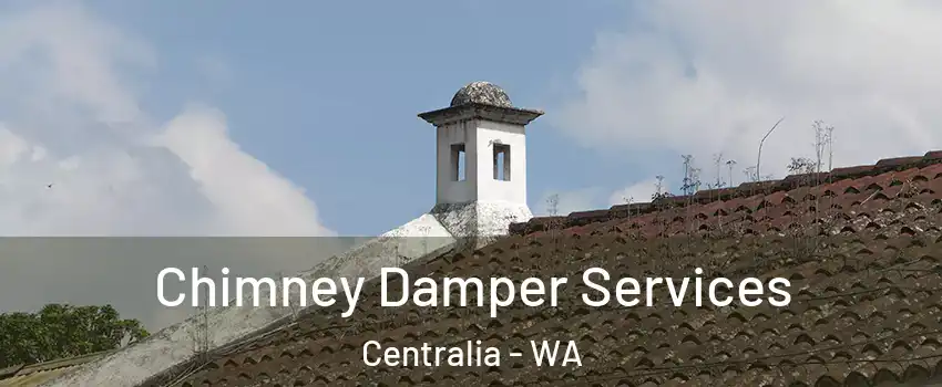  Chimney Damper Services Centralia - WA