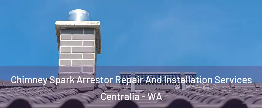  Chimney Spark Arrestor Repair And Installation Services Centralia - WA
