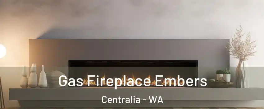  Gas Fireplace Embers Centralia - WA
