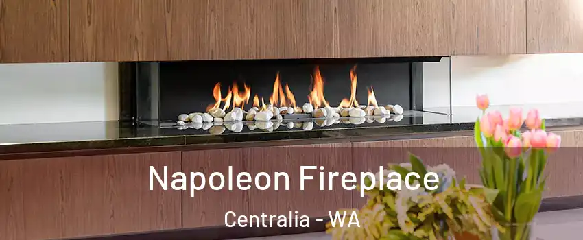  Napoleon Fireplace Centralia - WA